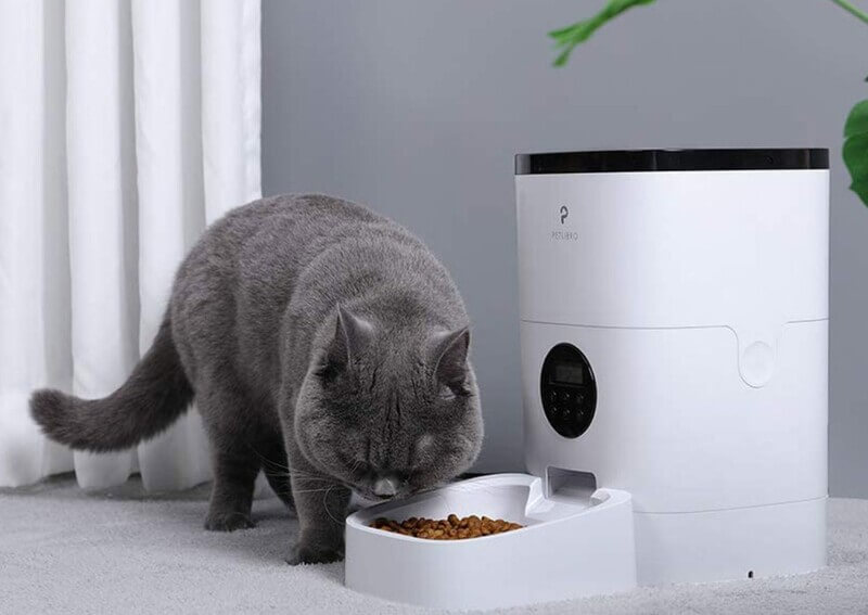 TOP 3 máy cho mèo ăn tự động giá rẻ, đáng mua 2021 Hoài Pet